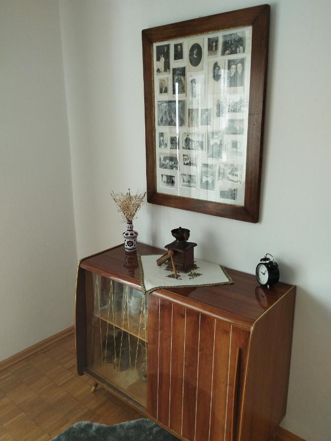 Apartmani Gruzdovo Delnice Extérieur photo