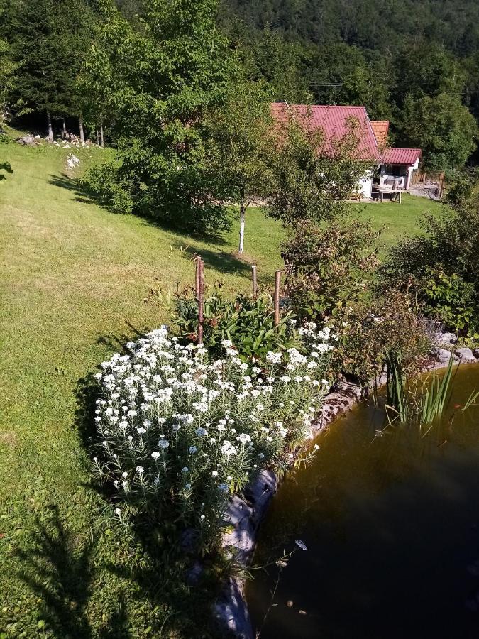 Apartmani Gruzdovo Delnice Extérieur photo