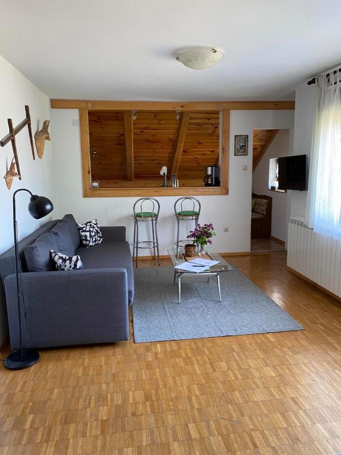 Apartmani Gruzdovo Delnice Extérieur photo