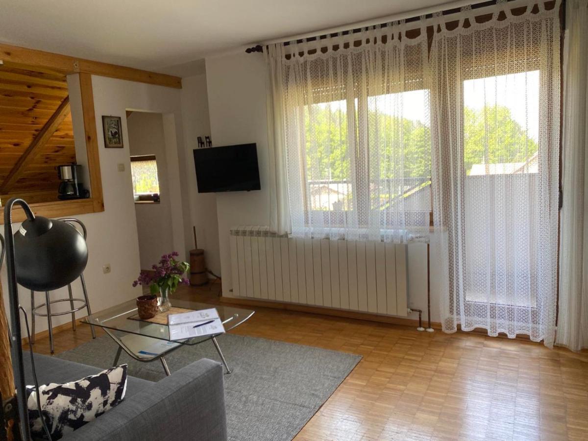 Apartmani Gruzdovo Delnice Extérieur photo