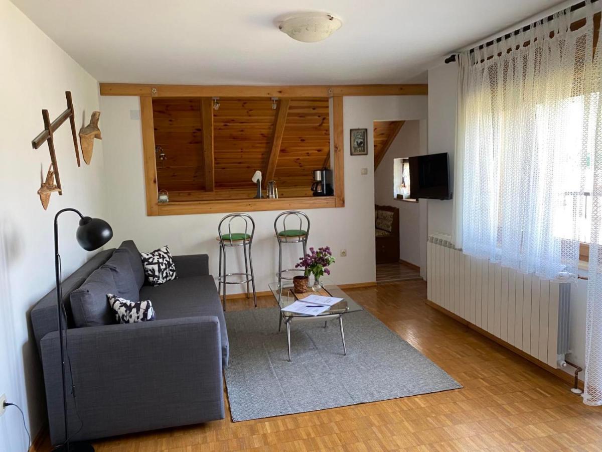 Apartmani Gruzdovo Delnice Extérieur photo