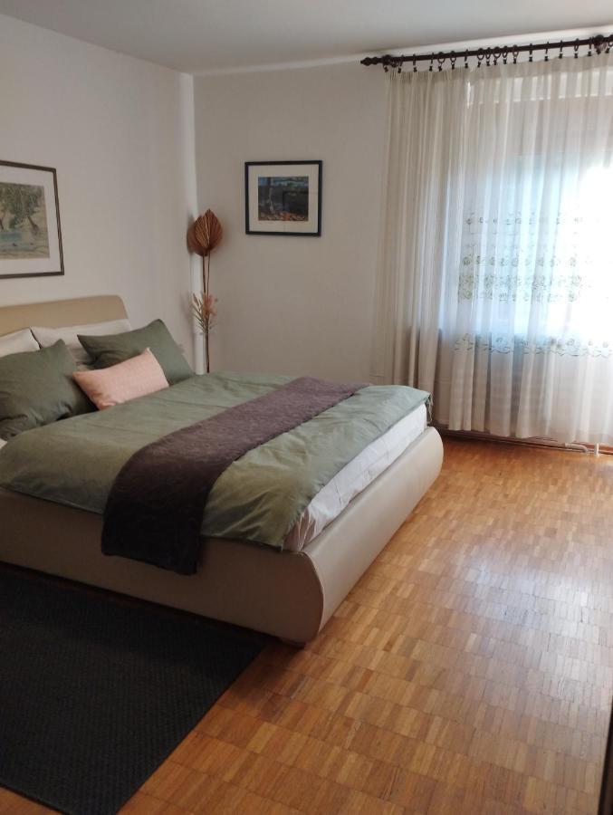 Apartmani Gruzdovo Delnice Extérieur photo