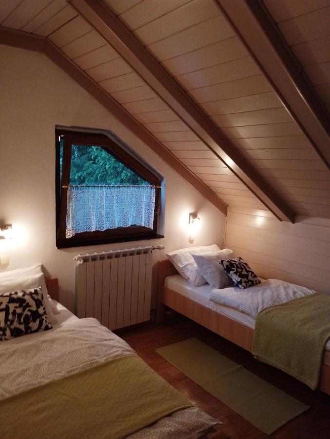 Apartmani Gruzdovo Delnice Extérieur photo