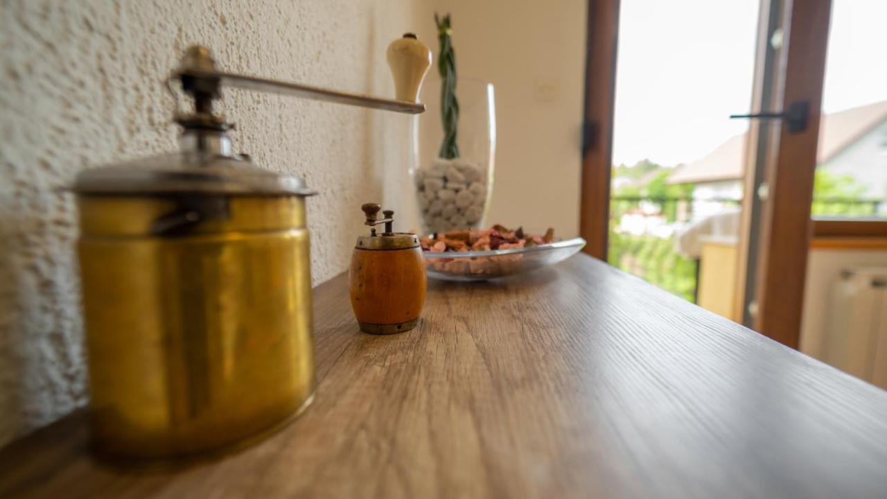 Apartmani Gruzdovo Delnice Extérieur photo